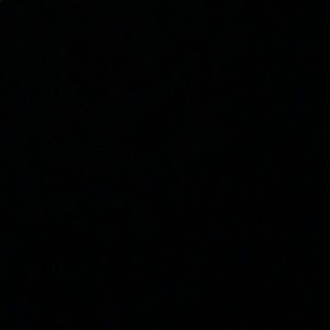 Meet your Posher, Paige